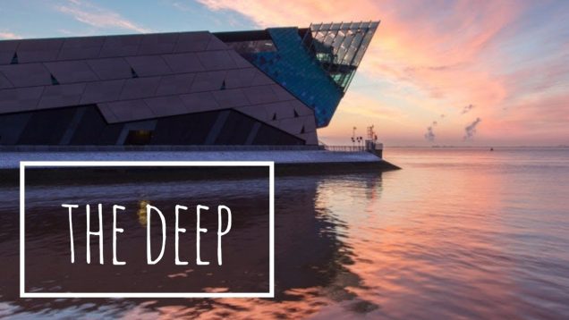 The Deep
