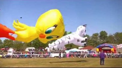 The East Riding Kite festival
