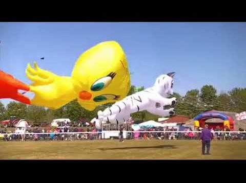 The East Riding Kite festival