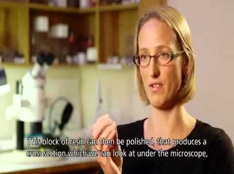 Lorenzetti   part two 2015 mp4