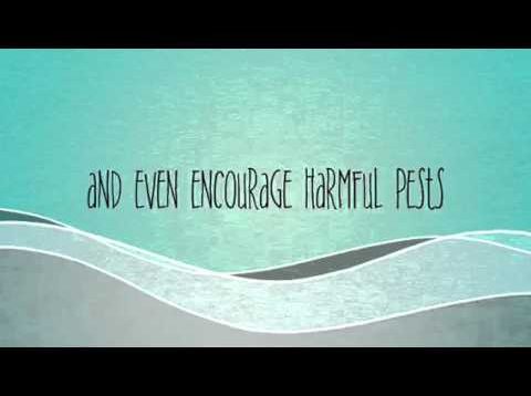 Cleaning the carriages at the Streetlife Museum