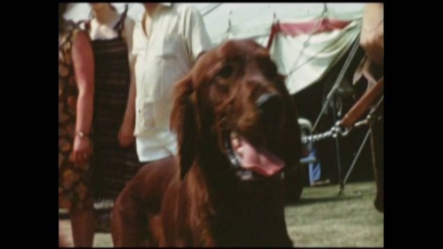 Beverley Steam Fair 1976 archive ref DDX1645 1 4
